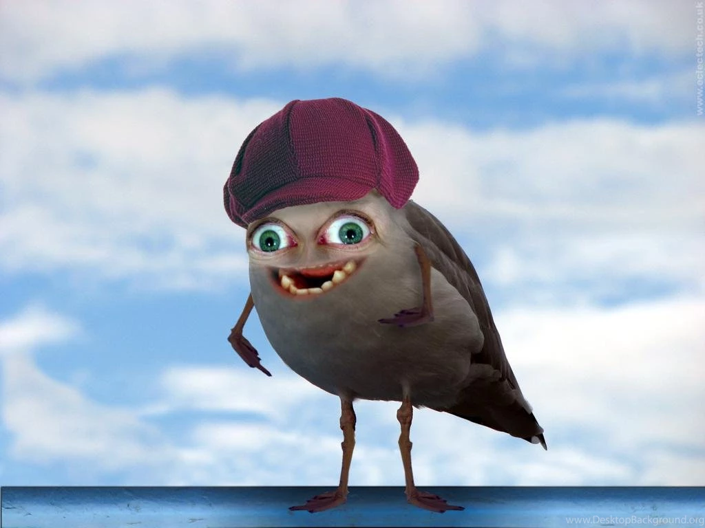Seagullhat wallpaper.jpg