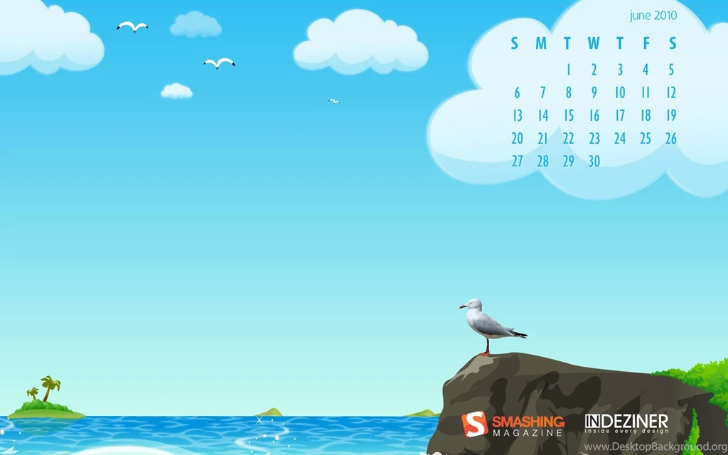 1680x1050 Seagull Desktop PC And Mac Wallpapers