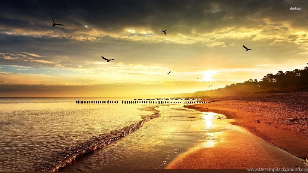 Seagull 1749682