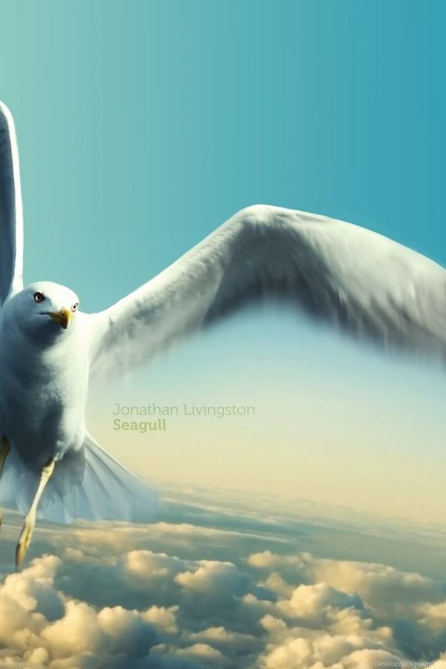 640x960 Jonathan Livingston Seagull Iphone 4 Wallpapers