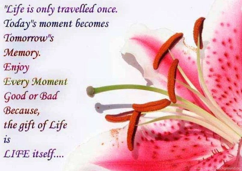 SMS Wallpapers Facebook Love In English Hinid For Mobile Free ...