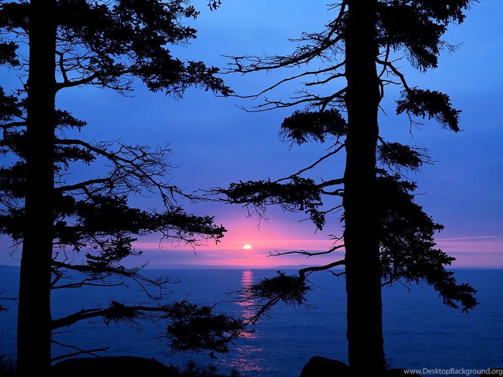 Acadia National Park Maine Wallpaper, Observations On The Fringe ...