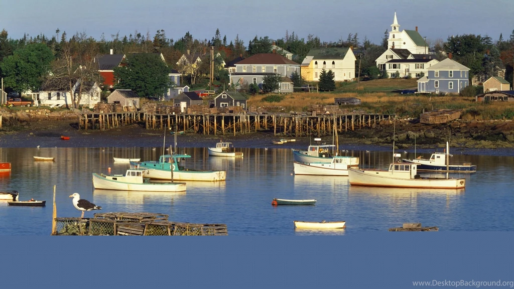 Corea Harbor at Sunrise Maine.jpg