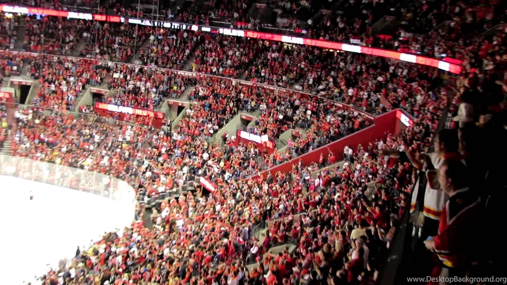 Florida Panthers Crowd Celebrating Playoff Goal 4/13/12 YouTube