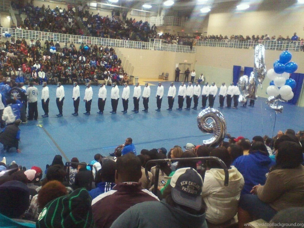 Phi Beta Sigma Zeta Alpha 1 Year In Review