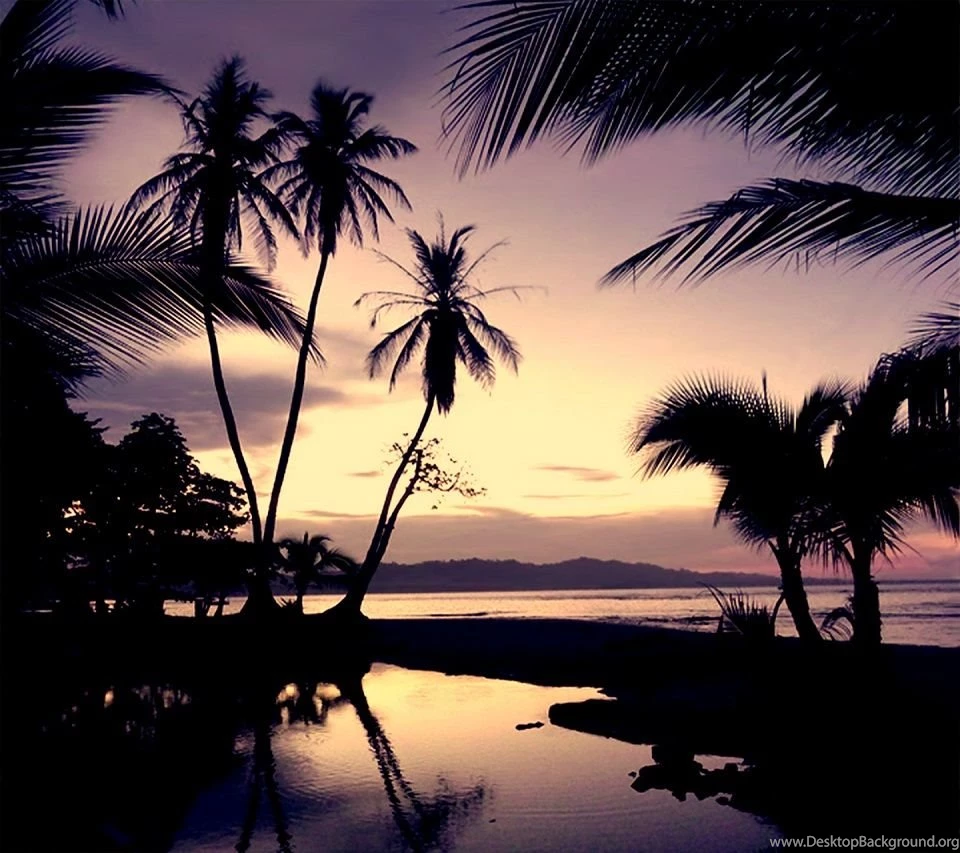Karbonn Mobile Wallpapers HD Wallpapers Lovely