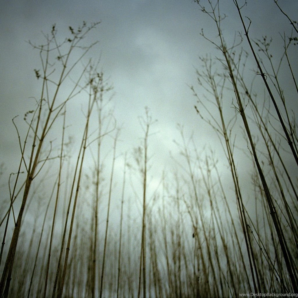 Nine Inch Nails "Ghosts I IV" iPad Retina Wallpapers (2048 X 2048 ...