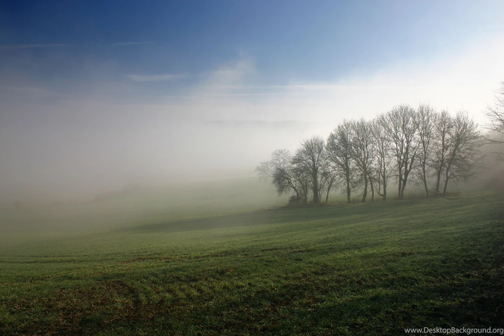 Fogs Misty Morning Nature HD Wallpapers