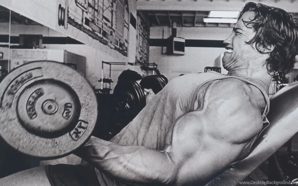 Schwarzenegger Training Pain Wallpapers