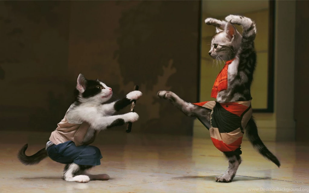 Download Wallpapers 3840x2400 Kittens, Couple, Playful, Suit ...