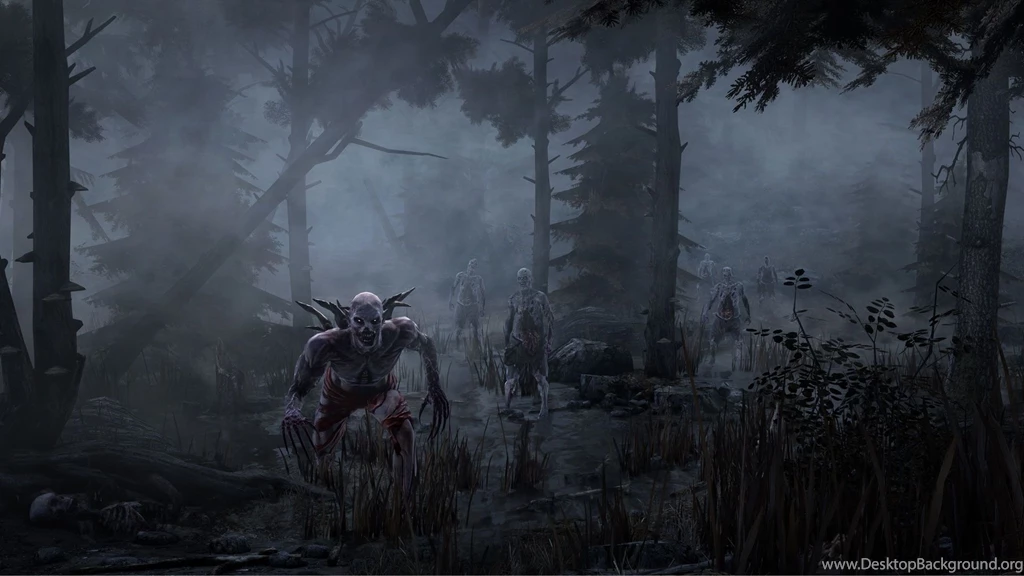 Misty Forest New Hd Wallpapers