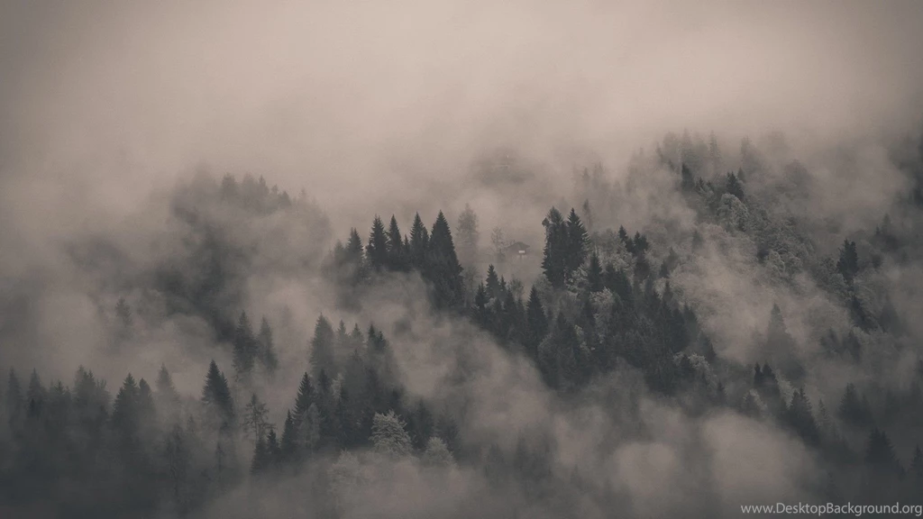 Misty • Meh.ro