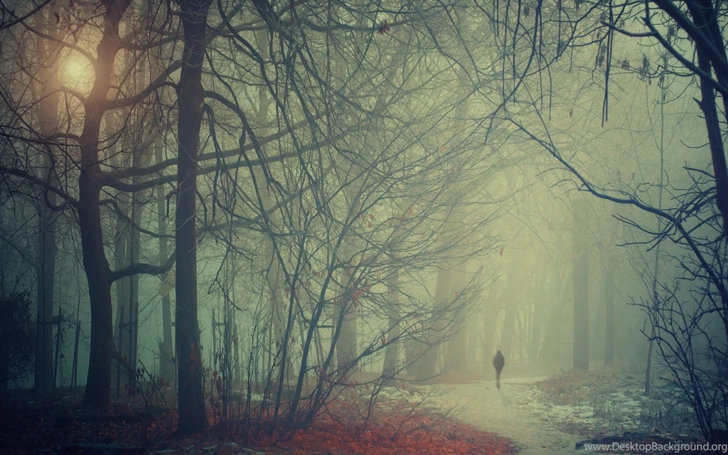Misty Autumn Morning Wallpapers And Images Wallpapers, Pictures ...
