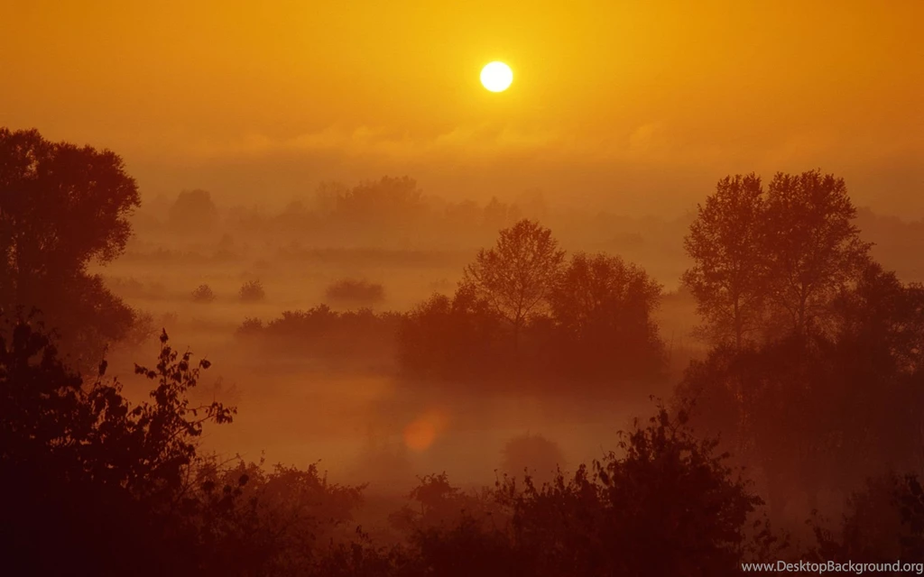 Theme Bin» Blog Archive » Misty Sunset HD Wallpapers