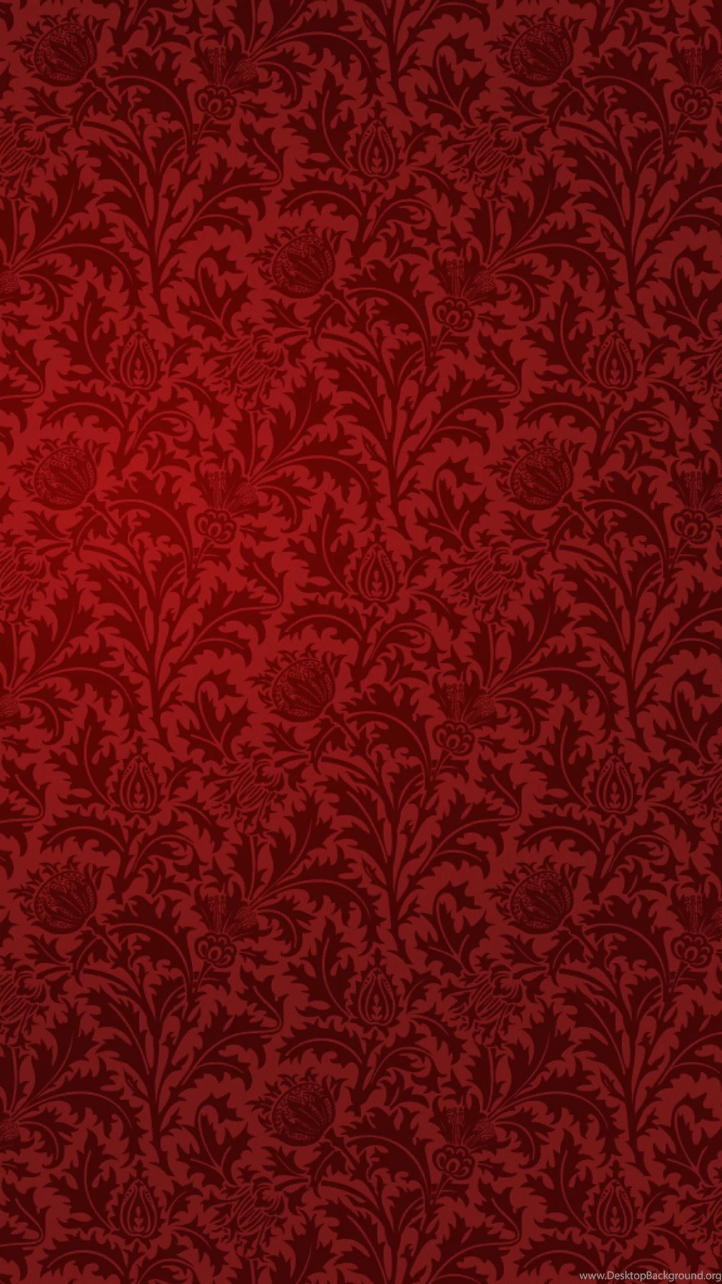 12 Solos A Violin Ou Traversi Sacd Iphone 6 Plus Wallpapers