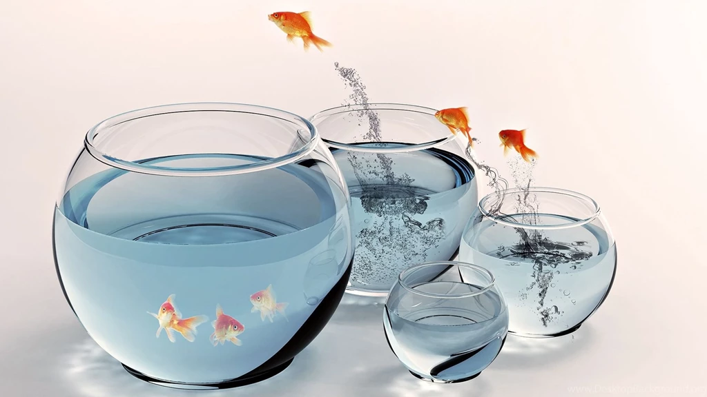 Full HD 1080p Fish Wallpapers HD, Desktop Backgrounds 1920x1080 ...