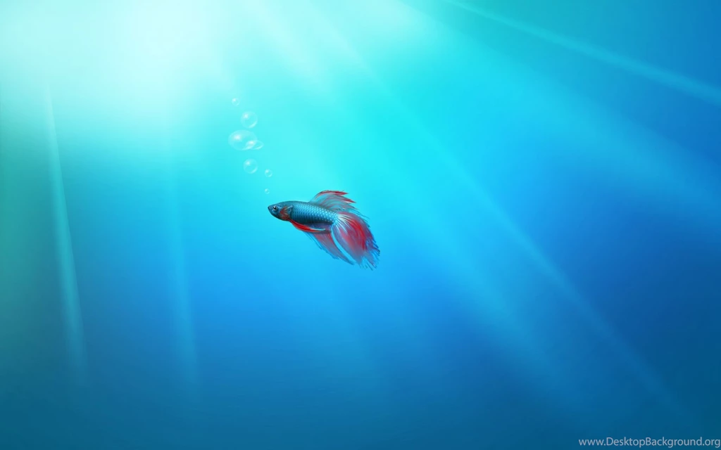 Windows 7 Fish Wallpapers 44472