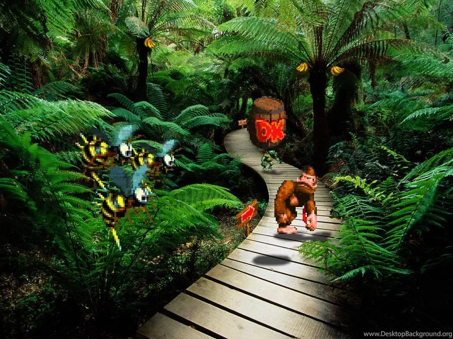 DKC By Orioto On DeviantArt