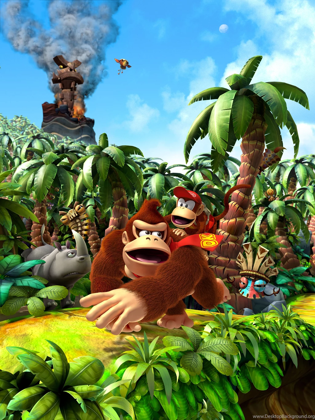 DK Vine: Donkey Kong Country Returns Artwork