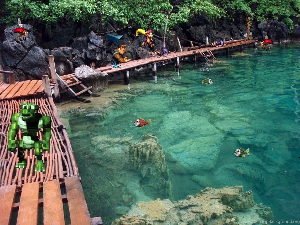 Donkey Kong Country 3 IRL [4] By Rodrigo6620 On DeviantArt