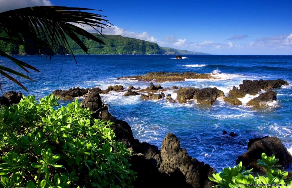 Nature Wallpapers For Windows 7 Free Download
