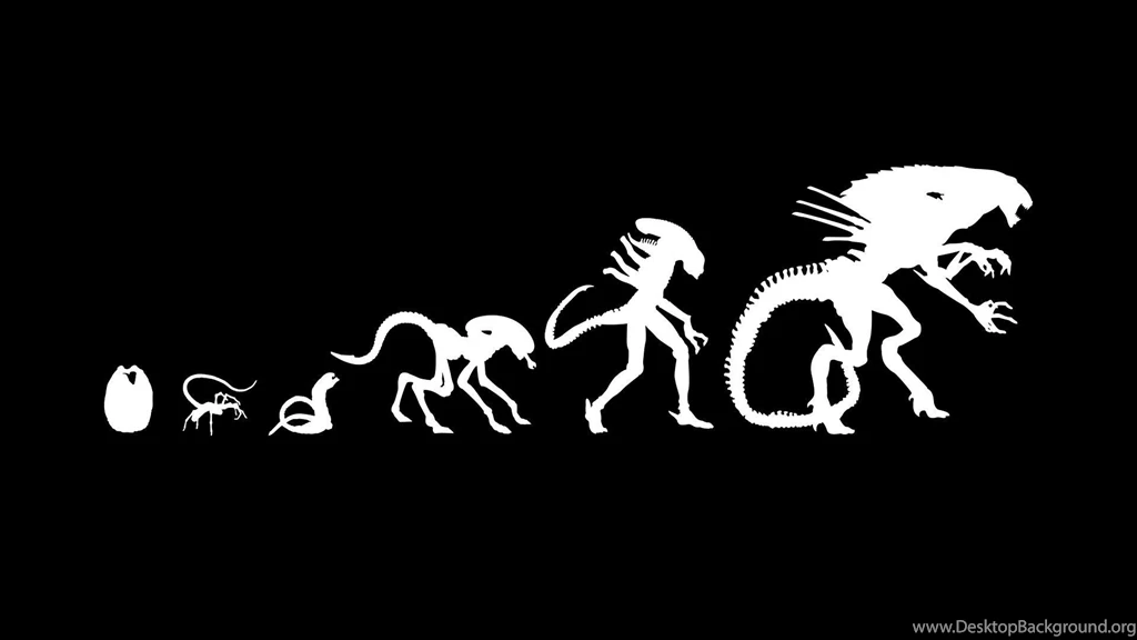 Xenomorph Stages HD Wallpapers