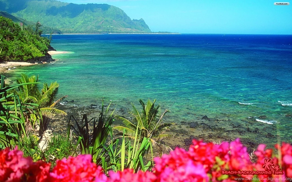 Nature Beach Wallpapers » WallDevil Best Free HD Desktop And ...
