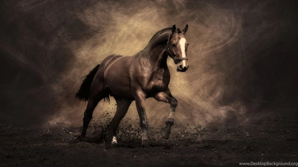 The Most Famous Horses Wallpapers And Images   Wallpapers ...