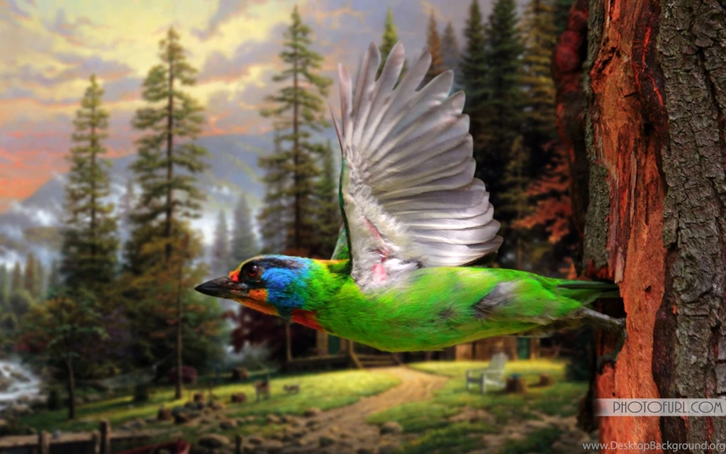 Wallpapers: All Wallpapers For Computer Desktop And Mobile