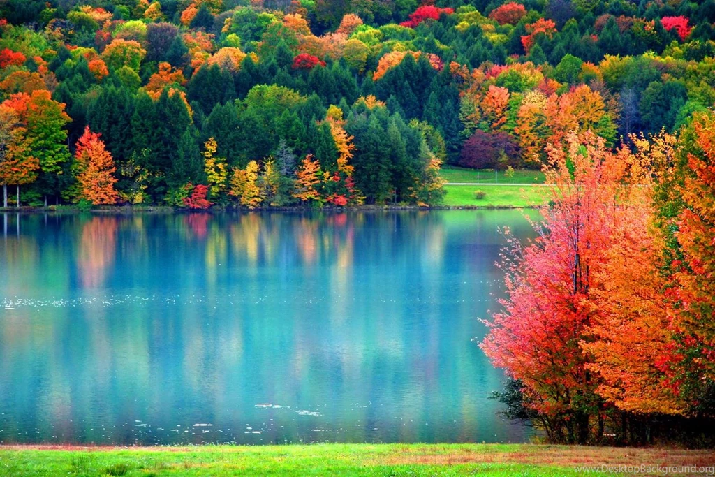 Fall Colors (