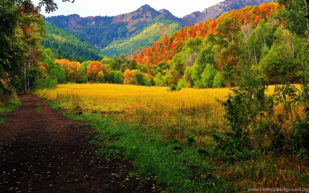 Provo Canyon Fall Colors Computer Wallpapers, Desktop Backgrounds ...