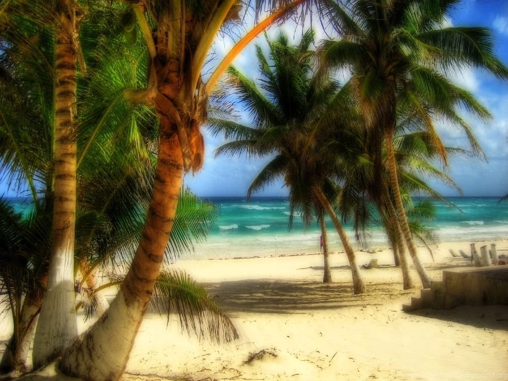 Wallpapers: August 2011