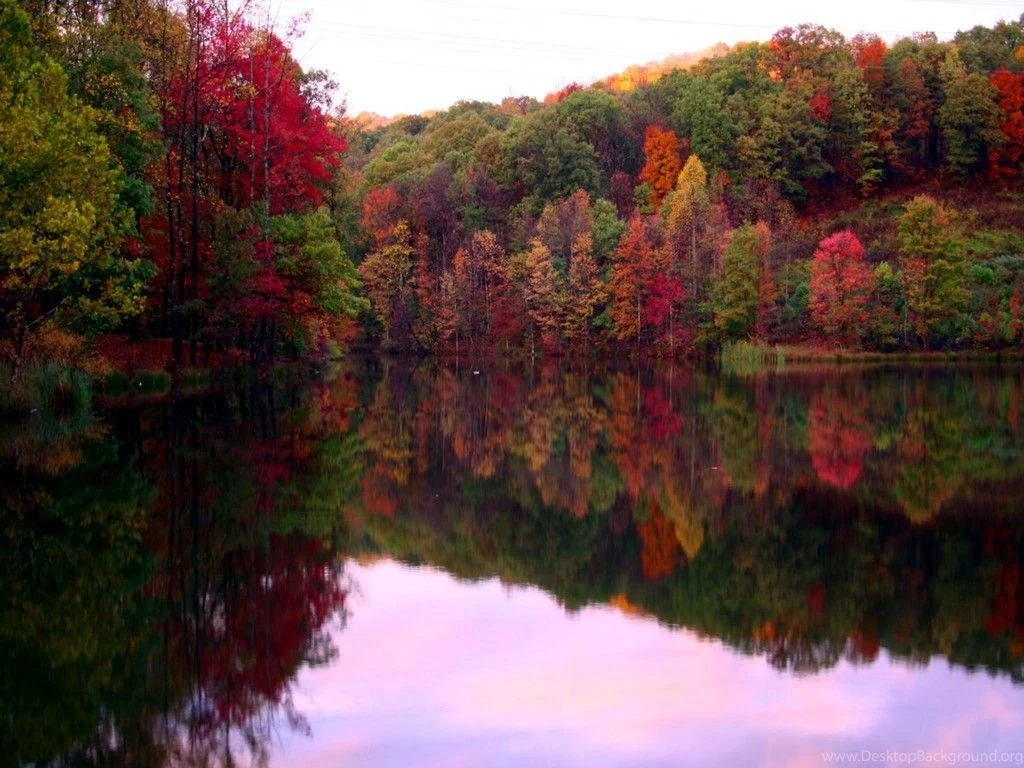 Fall Foliage