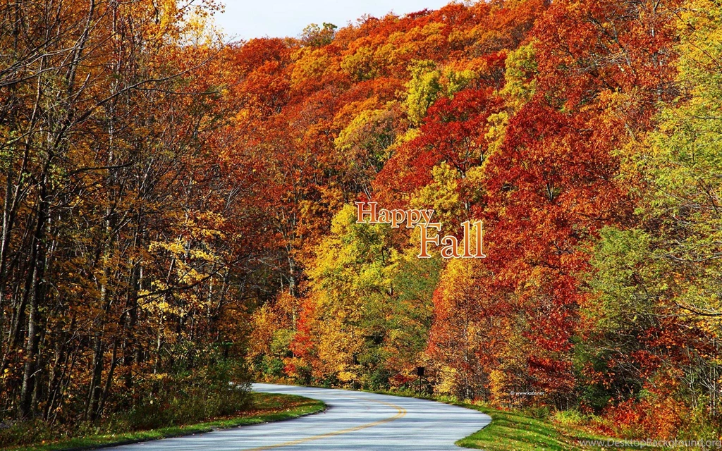 Fall Color Wallpapers Wallpapers Cave