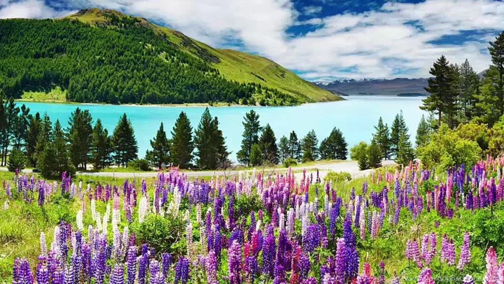 100 Wallpapers Of Animals And Nature Of Our Beautiful World Most ...