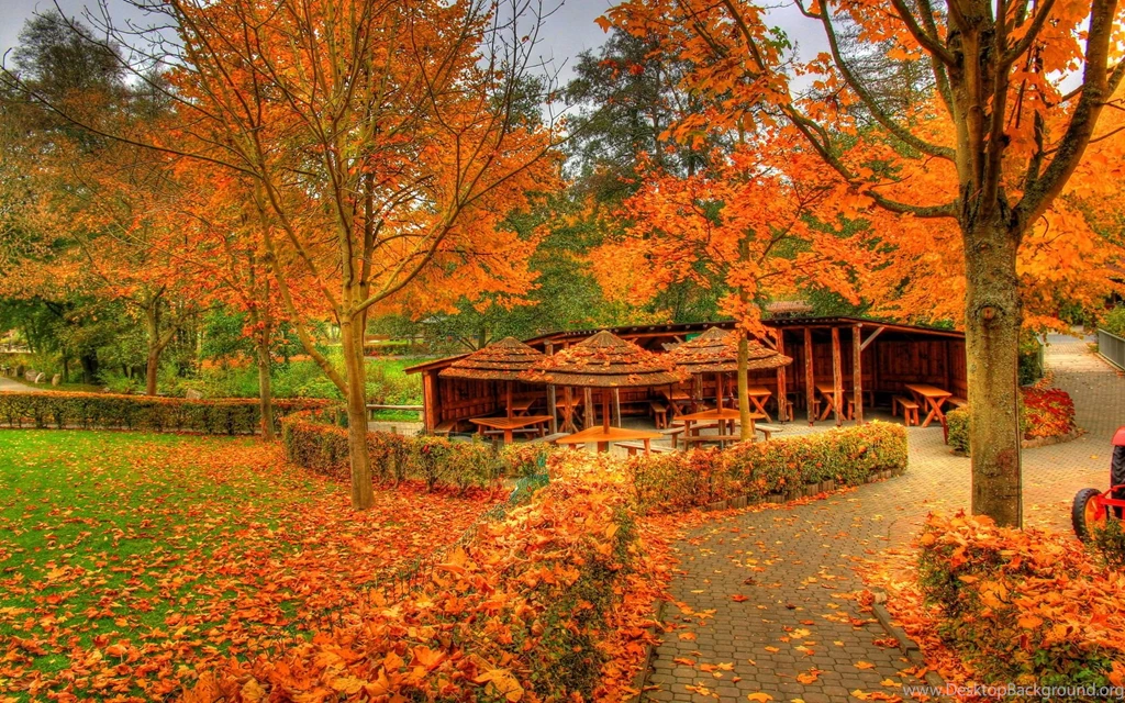 Landscapes Autumn Fall Color Wallpapers