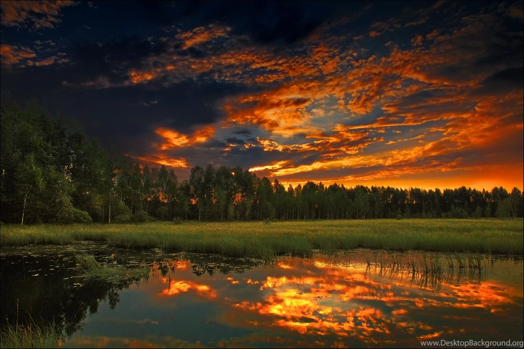 Cool Scenic Wallpaper Pond Image Grass HD Picture.jpg