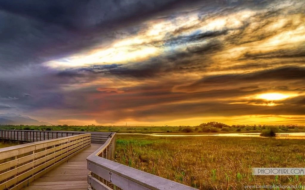 Green Nature Wallpapers