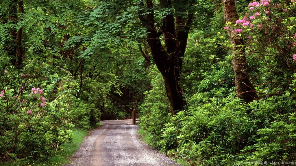 Wood Wallpapers — Free Full HD Wallpaper. Widescreen HQ Desktop ...