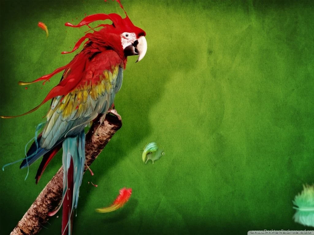 Parrot HD Desktop Wallpapers : Widescreen : High Definition ...
