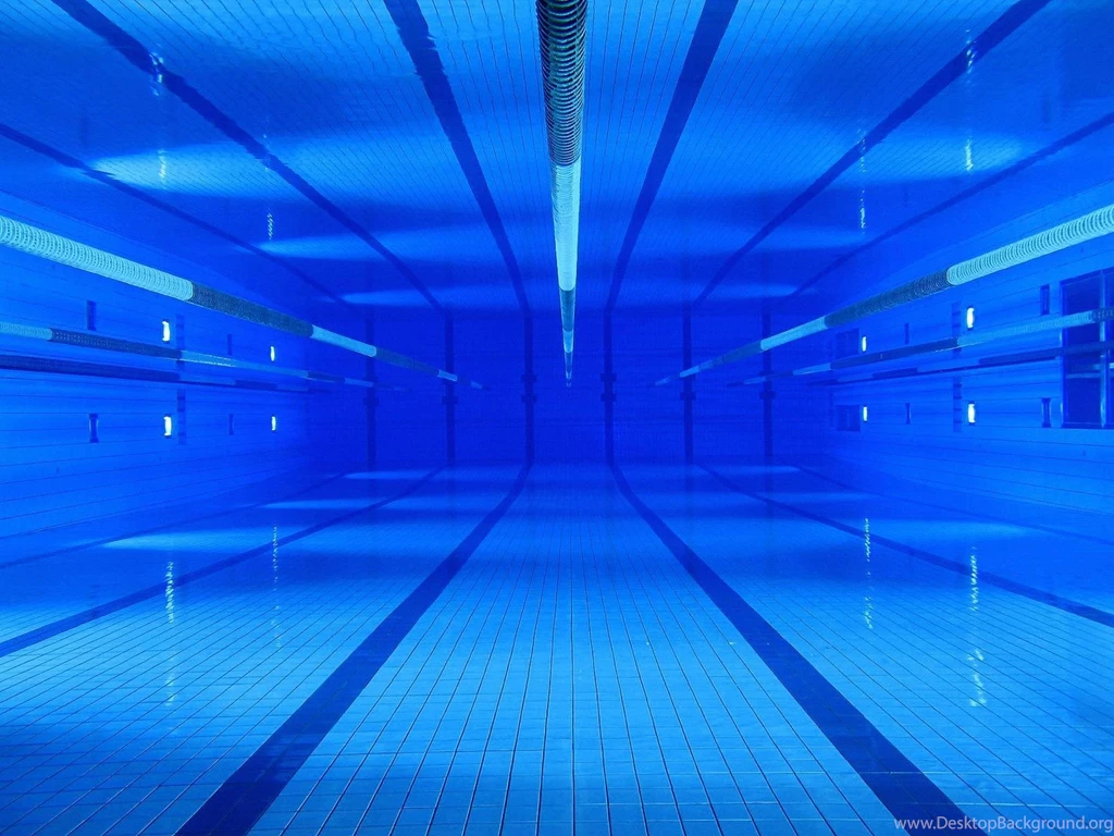 HBCC Swim Team : Rules