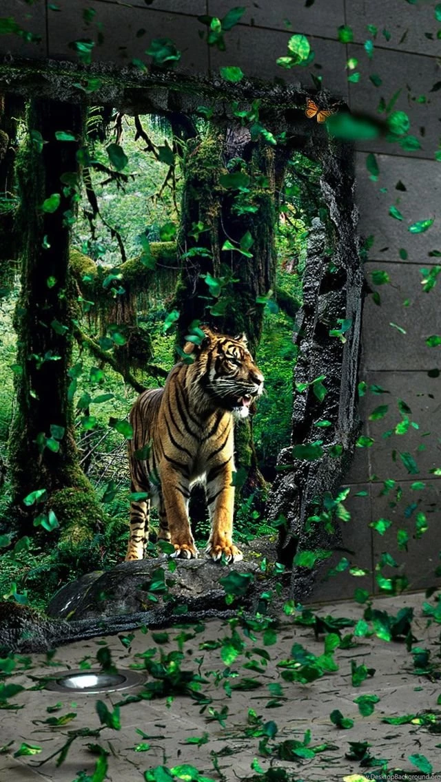 Brave Tigre Apparition iPhone 5s Wallpapers Download