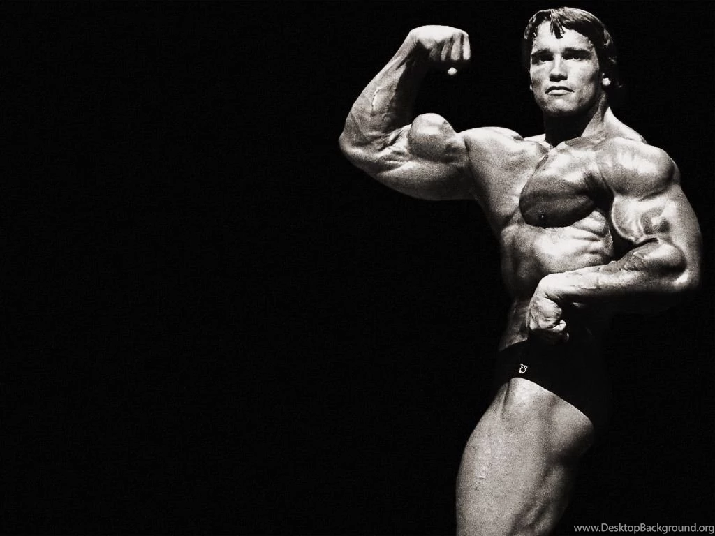 Arnold_schwarzenegger_bodybuilding_wallpapers_hd normal.jpg