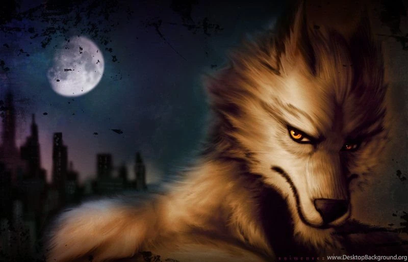 Wolf Wallpapers By Saimensez On DeviantArt