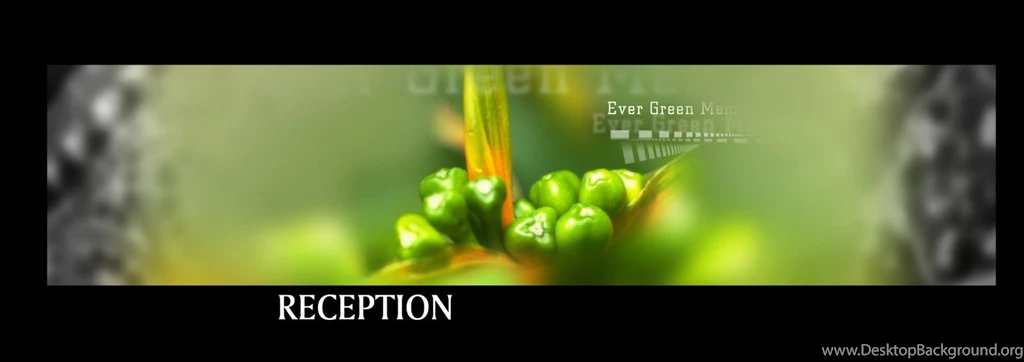 FREE PHOTOSHOP BACKGROUNDS HIGH RESOLUTION WALLPAPERS & TEMPLATES ...