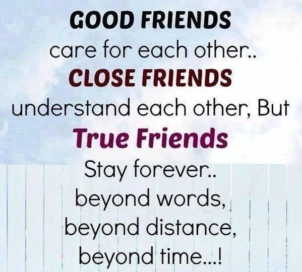 40 Best Friendship Quotes For True Friends