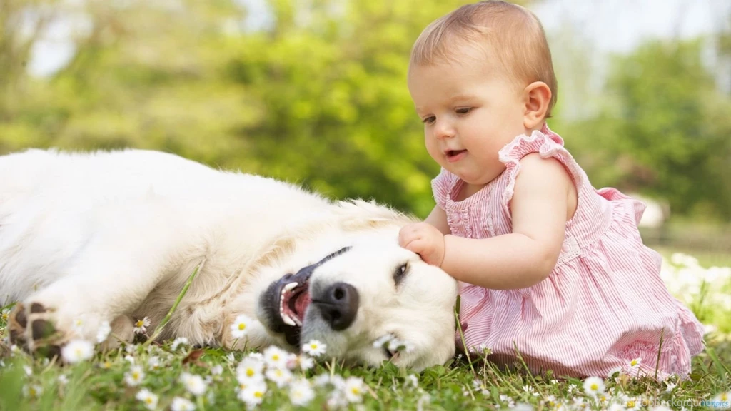 Cute Girl Playing With Dog Wallpapers