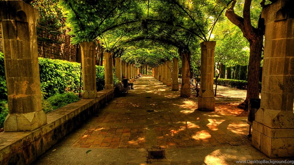 Free Download Wallpapers 12 Best Wallpapers Collection