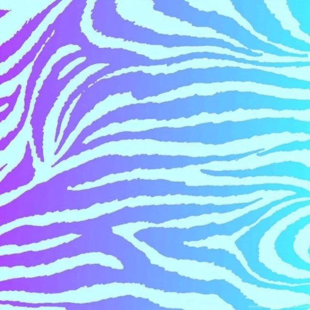 Zebra's On Pinterest