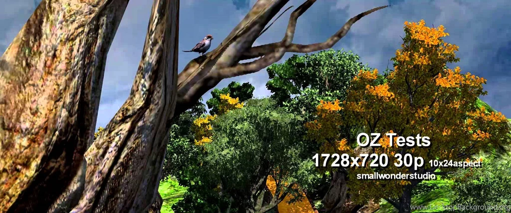 Wizard Of Oz Backgrounds Screen Tests YouTube